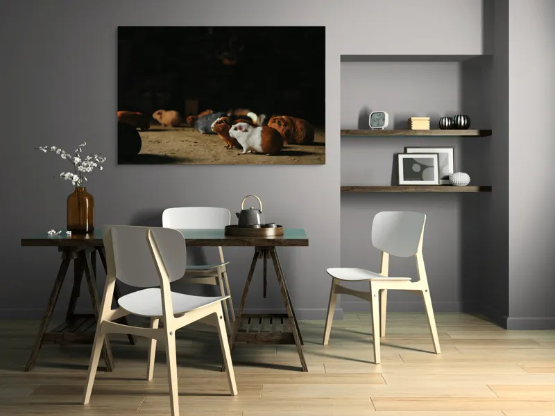 Tablou Canvas, "Nu știu cine sunt.", Scurte, Blănoase, Curioase, Drăgălașe, Sociabile, Agitate, Jucăușe, Apetisante, 150 x 100 cm – poza 5