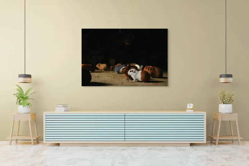 Tablou Canvas, "Nu știu cine sunt.", Scurte, Blănoase, Curioase, Drăgălașe, Sociabile, Agitate, Jucăușe, Apetisante, 150 x 100 cm – poza 6