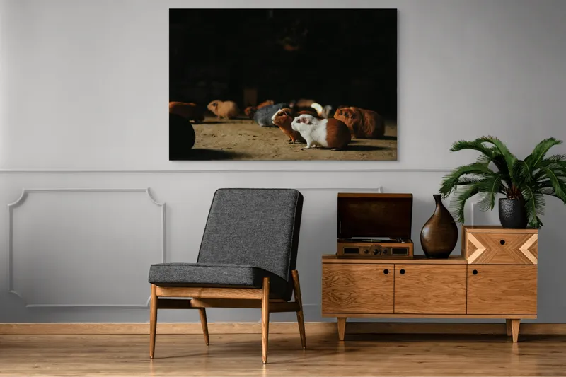 Tablou Canvas, "Nu știu cine sunt.", Scurte, Blănoase, Curioase, Drăgălașe, Sociabile, Agitate, Jucăușe, Apetisante, 150 x 100 cm – poza 8
