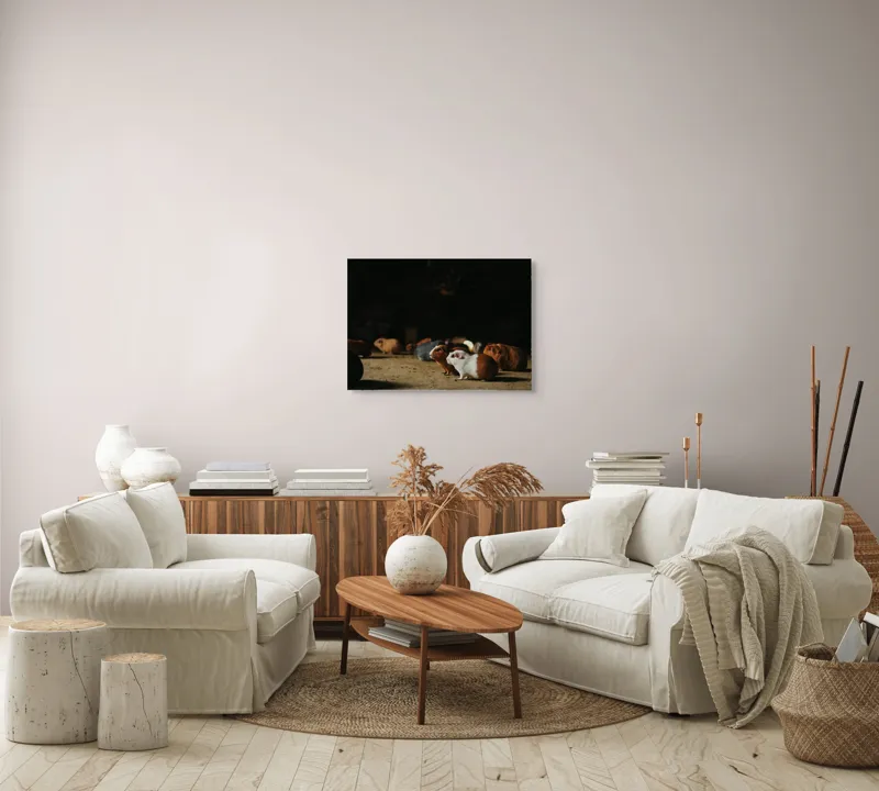 Tablou Canvas, "Nu știu cine sunt.", Scurte, Blănoase, Curioase, Drăgălașe, Sociabile, Agitate, Jucăușe, Apetisante, 70 x 50 cm – poza 6