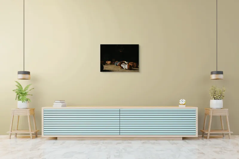Tablou Canvas, "Nu știu cine sunt.", Scurte, Blănoase, Curioase, Drăgălașe, Sociabile, Agitate, Jucăușe, Apetisante, 70 x 50 cm – poza 7