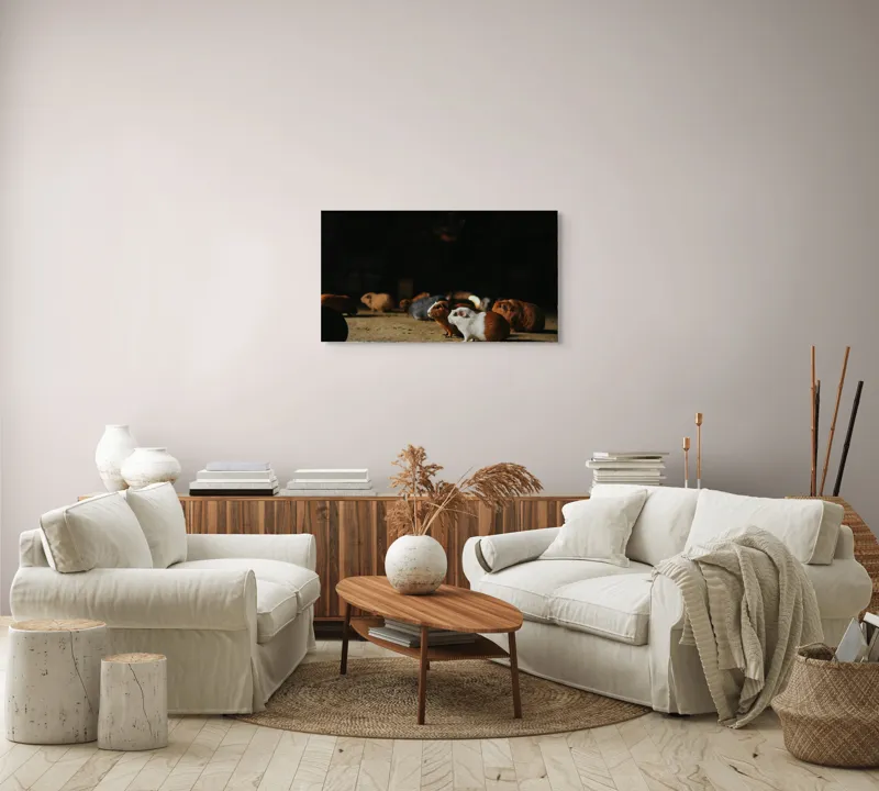 Tablou Canvas, Scurte, Blănoase, Curioase, Drăgălașe, Sociabile, Agitate, Jucăușe, Apetisante, 90 x 50 cm – poza 4