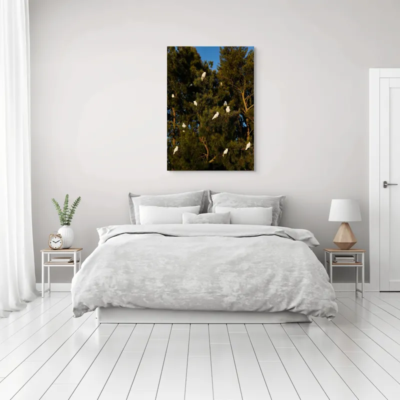 Tablou Canvas, "Cocori albi odihnindu-se în copac", Păsări, Pini, Ramuri, Cer, Verde, Alb, Natură, Lumină, Armonie, Înaripate, 70 x 100 cm – poza 3
