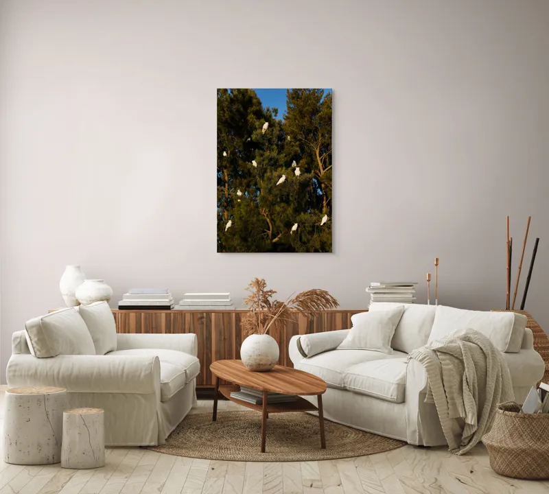 Tablou Canvas, "Cocori albi odihnindu-se în copac", Păsări, Pini, Ramuri, Cer, Verde, Alb, Natură, Lumină, Armonie, Înaripate, 70 x 100 cm – poza 4