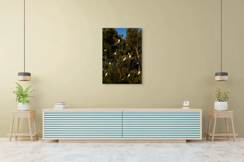 Tablou Canvas, "Cocori albi odihnindu-se în copac", Păsări, Pini, Ramuri, Cer, Verde, Alb, Natură, Lumină, Armonie, Înaripate, 70 x 100 cm – poza 5