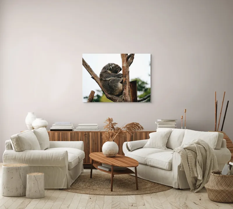 Tablou Canvas, "Koala odihnindu-se pe ramură uscată", Koala, Ramură, Relaxare, Blană, Natură, Somn, Arbori, Eucalipt, Liniște., 100 x 70 cm – poza 3