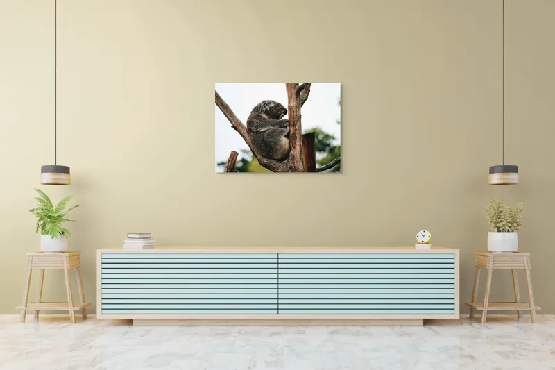 Tablou Canvas, "Koala odihnindu-se pe ramură uscată", Koala, Ramură, Relaxare, Blană, Natură, Somn, Arbori, Eucalipt, Liniște., 100 x 70 cm – poza 4