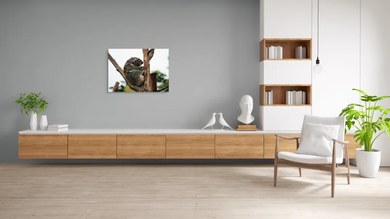 Tablou Canvas, "Koala odihnindu-se pe ramură uscată", Koala, Ramură, Relaxare, Blană, Natură, Somn, Arbori, Eucalipt, Liniște., 100 x 70 cm – poza 6