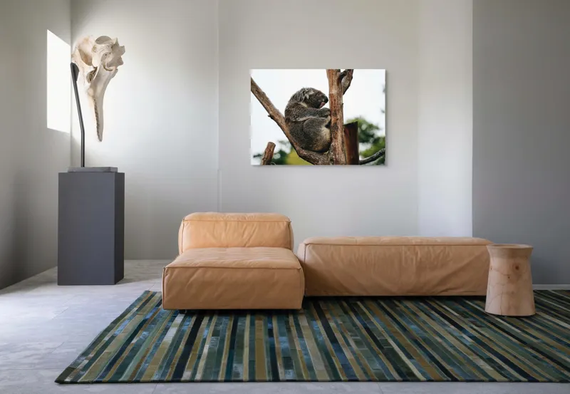 Tablou Canvas, "Koala odihnindu-se pe ramură uscată", Koala, Ramură, Relaxare, Blană, Natură, Somn, Arbori, Eucalipt, Liniște., 100 x 70 cm – poza 7