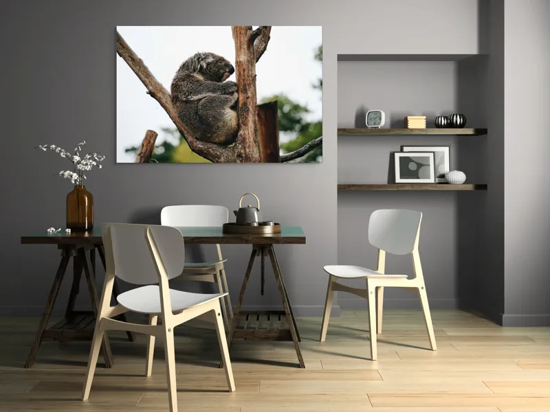 Tablou Canvas, "Koala odihnindu-se pe ramură uscată", Koala, Ramură, Relaxare, Blană, Natură, Somn, Arbori, Eucalipt, Liniște., 150 x 100 cm – poza 5