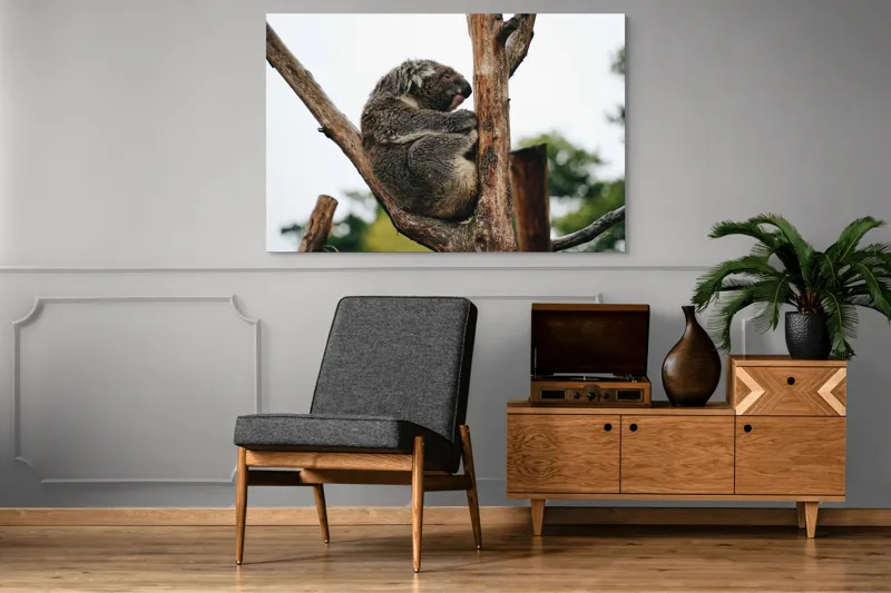 Tablou Canvas, "Koala odihnindu-se pe ramură uscată", Koala, Ramură, Relaxare, Blană, Natură, Somn, Arbori, Eucalipt, Liniște., 150 x 100 cm – poza 8