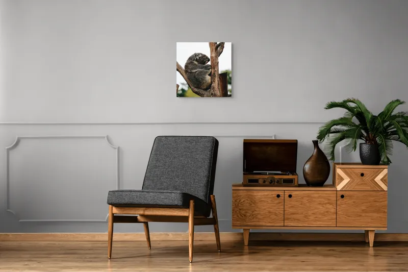 Tablou Canvas, "Koala odihnindu-se pe ramură uscată", Koala, Ramură, Relaxare, Blană, Natură, Somn, Arbori, Eucalipt, Liniște., 50 x 50 cm – poza 6
