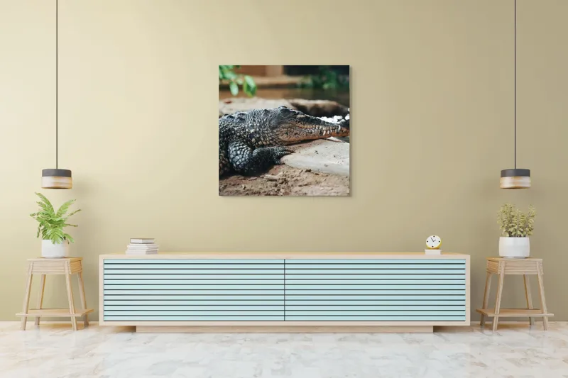 Tablou Canvas, "Odihna unui crocodil la mal", Scuter, Reptilă, Imobilitate, Textură, Relaxare, Apă, Habitat, Natură, 100 x 100 cm – poza 5