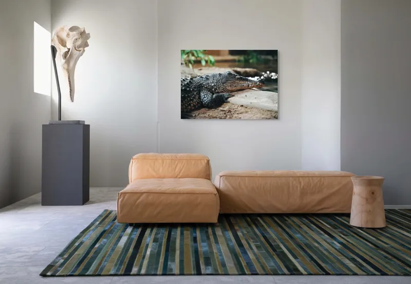 Tablou Canvas, "Odihna unui crocodil la mal", Scuter, Reptilă, Imobilitate, Textură, Relaxare, Apă, Habitat, Natură, 100 x 70 cm – poza 7