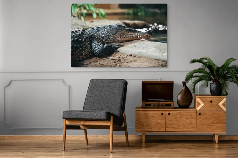 Tablou Canvas, "Odihna unui crocodil la mal", Scuter, Reptilă, Imobilitate, Textură, Relaxare, Apă, Habitat, Natură, 150 x 100 cm – poza 8