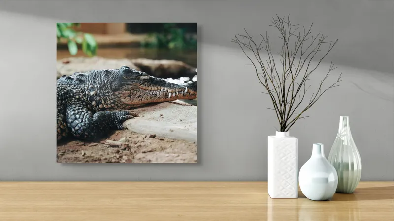Tablou Canvas, "Odihna unui crocodil la mal", Scuter, Reptilă, Imobilitate, Textură, Relaxare, Apă, Habitat, Natură, 50 x 50 cm – poza 3