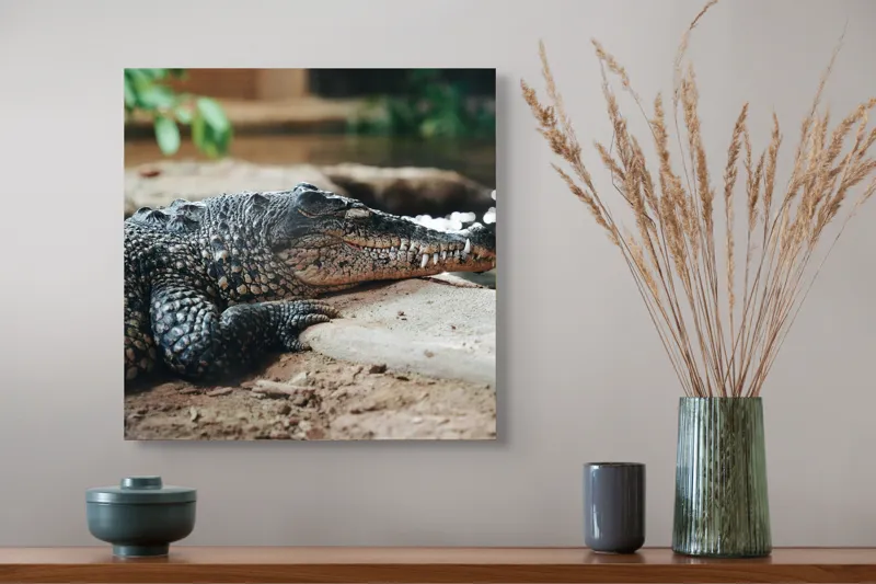 Tablou Canvas, "Odihna unui crocodil la mal", Scuter, Reptilă, Imobilitate, Textură, Relaxare, Apă, Habitat, Natură, 50 x 50 cm – poza 4