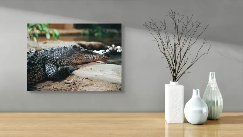 Tablou Canvas, "Odihna unui crocodil la mal", Scuter, Reptilă, Imobilitate, Textură, Relaxare, Apă, Habitat, Natură, 54 x 39 cm – poza 3