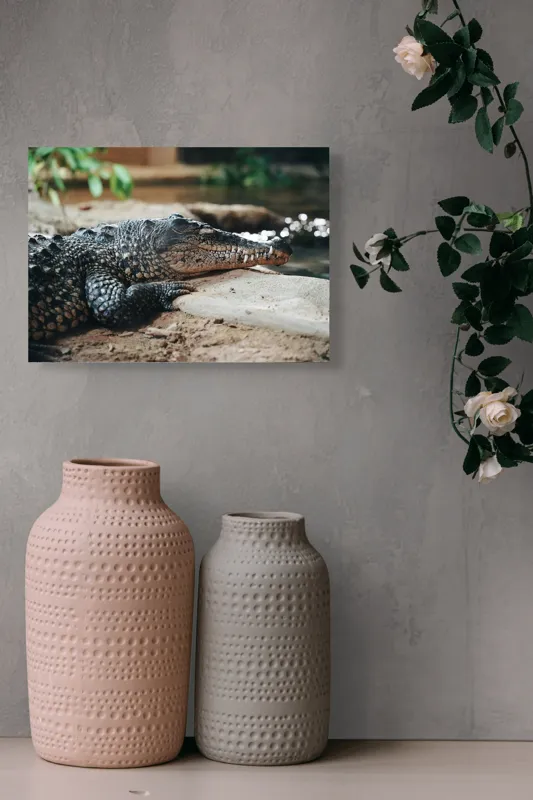 Tablou Canvas, "Odihna unui crocodil la mal", Scuter, Reptilă, Imobilitate, Textură, Relaxare, Apă, Habitat, Natură, 54 x 39 cm – poza 8