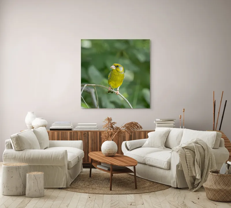 Tablou Canvas, "Măiastru pe ramura verde crudă", Verde, Pene, Creangă, Ochi, Cioc, Frunze, Ramură, Blând, Natură, Delicat, 100 x 100 cm – poza 3