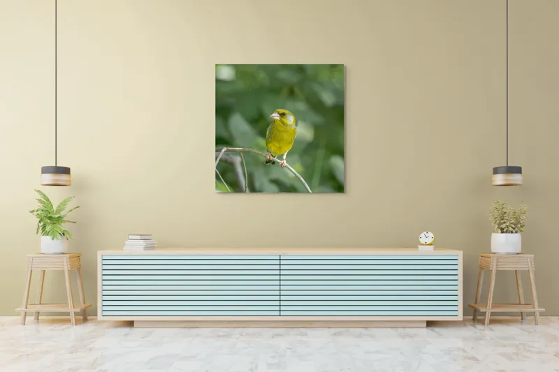 Tablou Canvas, "Măiastru pe ramura verde crudă", Verde, Pene, Creangă, Ochi, Cioc, Frunze, Ramură, Blând, Natură, Delicat, 100 x 100 cm – poza 5