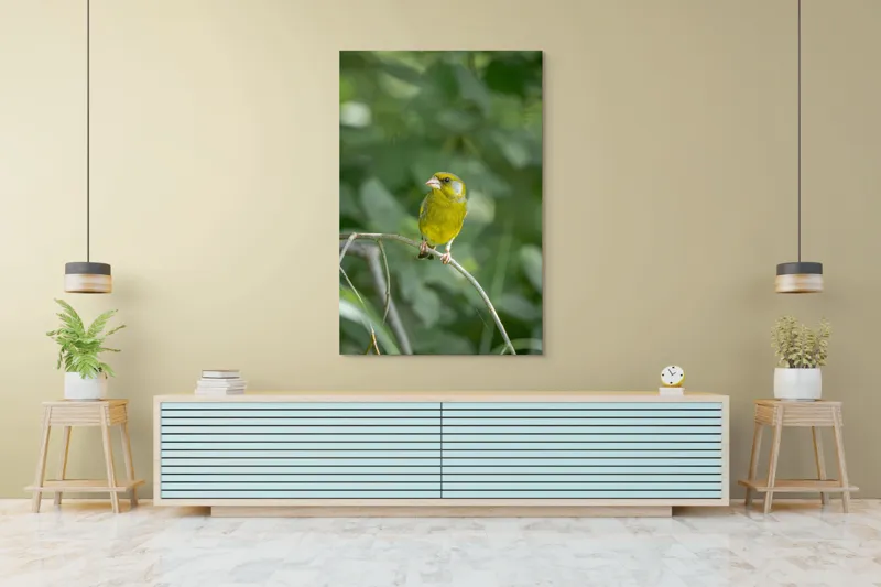 Tablou Canvas, "Măiastru pe ramura verde crudă", Verde, Pene, Creangă, Ochi, Cioc, Frunze, Ramură, Blând, Natură, Delicat, 100 x 150 cm – poza 4