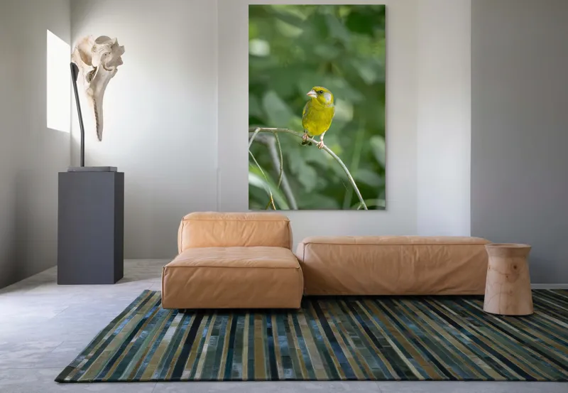 Tablou Canvas, "Măiastru pe ramura verde crudă", Verde, Pene, Creangă, Ochi, Cioc, Frunze, Ramură, Blând, Natură, Delicat, 100 x 150 cm – poza 7