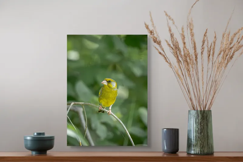 Tablou Canvas, "Măiastru pe ramura verde crudă", Verde, Pene, Creangă, Ochi, Cioc, Frunze, Ramură, Blând, Natură, Delicat, 39 x 54 cm – poza 3