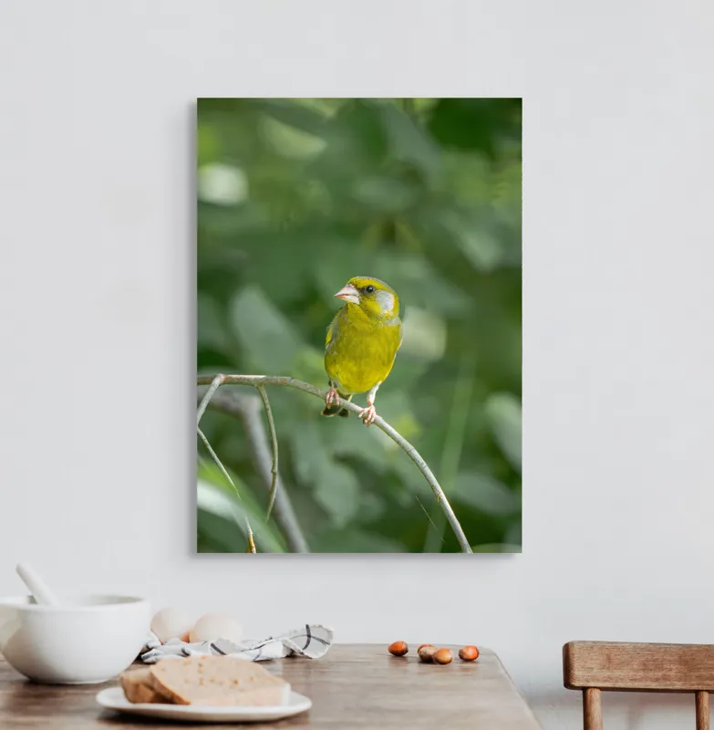 Tablou Canvas, "Măiastru pe ramura verde crudă", Verde, Pene, Creangă, Ochi, Cioc, Frunze, Ramură, Blând, Natură, Delicat, 50 x 70 cm – poza 3