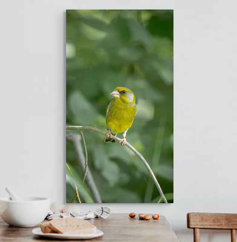 Tablou Canvas, "Măiastru pe ramura verde crudă", Verde, Pene, Creangă, Ochi, Cioc, Frunze, Ramură, Blând, Natură, Delicat, 50 x 90 cm – poza 3