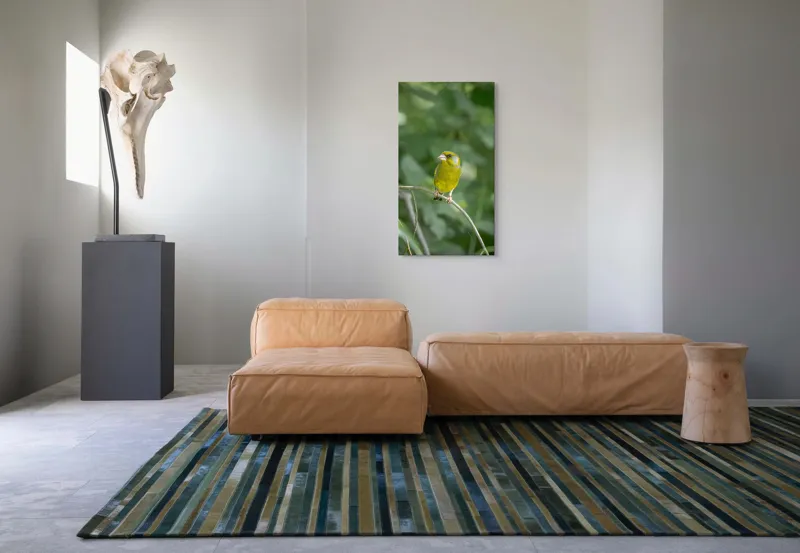 Tablou Canvas, "Măiastru pe ramura verde crudă", Verde, Pene, Creangă, Ochi, Cioc, Frunze, Ramură, Blând, Natură, Delicat, 50 x 90 cm – poza 5