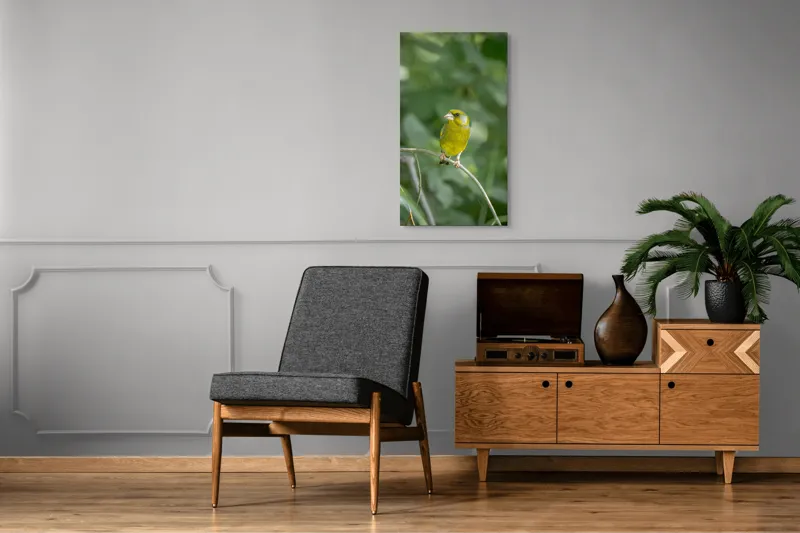 Tablou Canvas, "Măiastru pe ramura verde crudă", Verde, Pene, Creangă, Ochi, Cioc, Frunze, Ramură, Blând, Natură, Delicat, 50 x 90 cm – poza 8