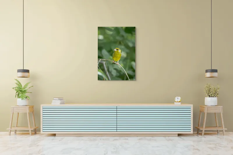 Tablou Canvas, "Măiastru pe ramura verde crudă", Verde, Pene, Creangă, Ochi, Cioc, Frunze, Ramură, Blând, Natură, Delicat, 70 x 100 cm – poza 5
