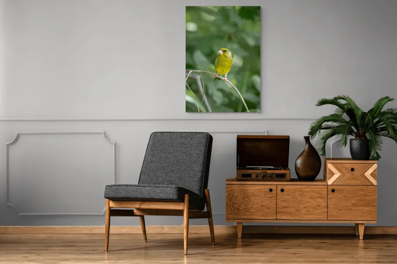 Tablou Canvas, "Măiastru pe ramura verde crudă", Verde, Pene, Creangă, Ochi, Cioc, Frunze, Ramură, Blând, Natură, Delicat, 70 x 100 cm – poza 6