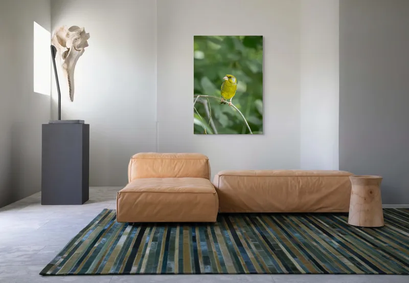 Tablou Canvas, "Măiastru pe ramura verde crudă", Verde, Pene, Creangă, Ochi, Cioc, Frunze, Ramură, Blând, Natură, Delicat, 70 x 100 cm – poza 7