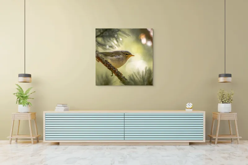 Tablou Canvas, "Pitic de pădure printre crengi verzi", Pene, Ramuri, Lumina, Verdeață, Pasăre, Natură, Lumină, Blândețe, Fragilitate, Delicatețe, 100 x 100 cm – poza 5