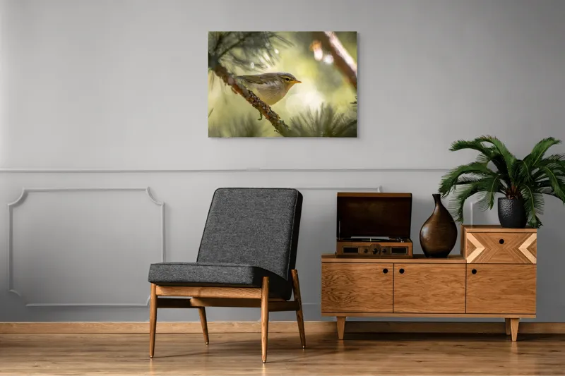 Tablou Canvas, "Pitic de pădure printre crengi verzi", Pene, Ramuri, Lumina, Verdeață, Pasăre, Natură, Lumină, Blândețe, Fragilitate, Delicatețe, 100 x 70 cm – poza 8