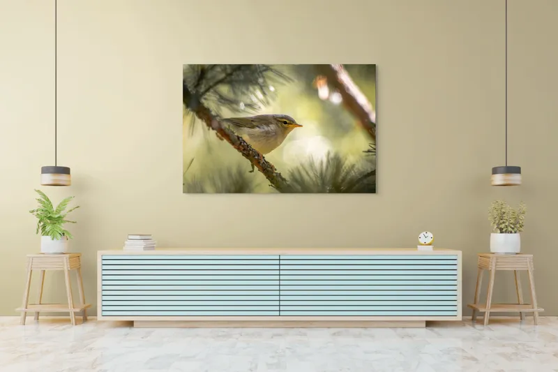 Tablou Canvas, "Pitic de pădure printre crengi verzi", Pene, Ramuri, Lumina, Verdeață, Pasăre, Natură, Lumină, Blândețe, Fragilitate, Delicatețe, 150 x 100 cm – poza 6