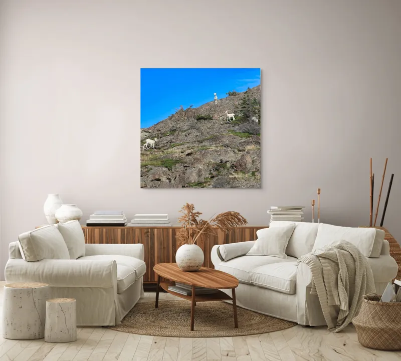 Tablou Canvas Capre pe Stâncile Muntelui - Natură și Libertate, 100 x 100 cm – poza 3