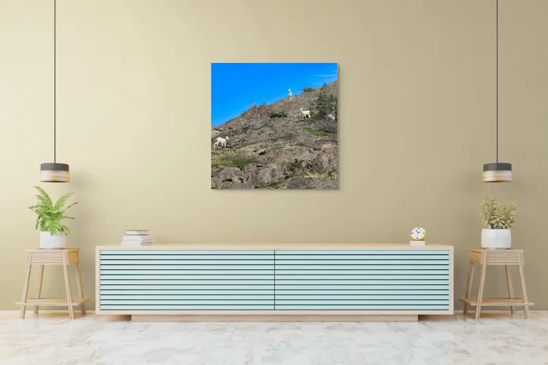 Tablou Canvas Capre pe Stâncile Muntelui - Natură și Libertate, 100 x 100 cm – poza 5