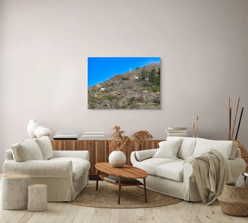 Tablou Canvas Capre pe Stâncile Muntelui - Natură și Libertate, 100 x 70 cm – poza 3