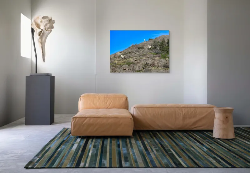 Tablou Canvas Capre pe Stâncile Muntelui - Natură și Libertate, 100 x 70 cm – poza 7