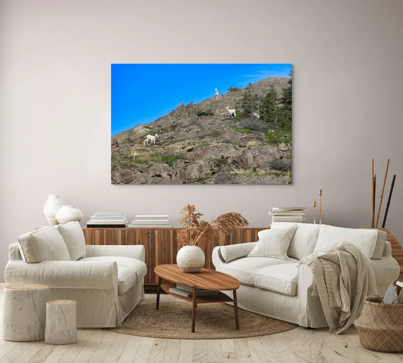 Tablou Canvas Capre pe Stâncile Muntelui - Natură și Libertate, 150 x 100 cm – poza 3