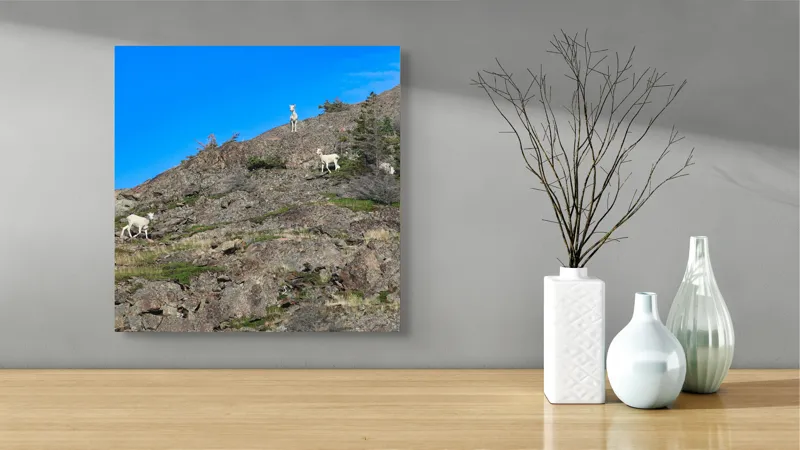 Tablou Canvas Capre pe Stâncile Muntelui - Natură și Libertate, 50 x 50 cm – poza 3
