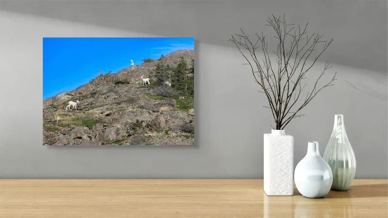 Tablou Canvas Capre pe Stâncile Muntelui - Natură și Libertate, 54 x 39 cm – poza 3