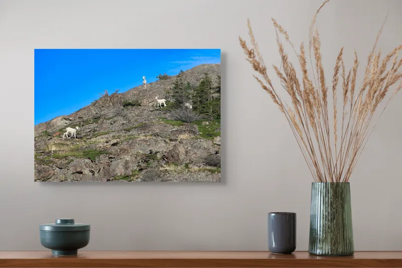 Tablou Canvas Capre pe Stâncile Muntelui - Natură și Libertate, 54 x 39 cm – poza 4