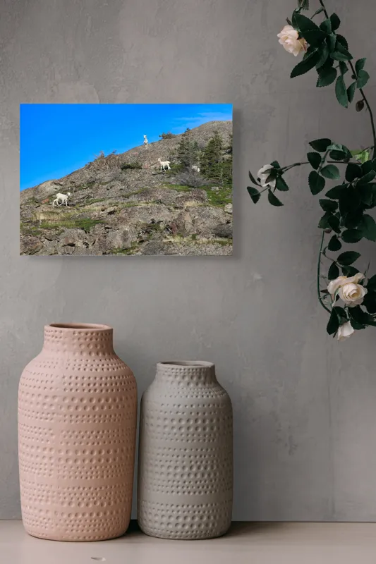 Tablou Canvas Capre pe Stâncile Muntelui - Natură și Libertate, 54 x 39 cm – poza 8