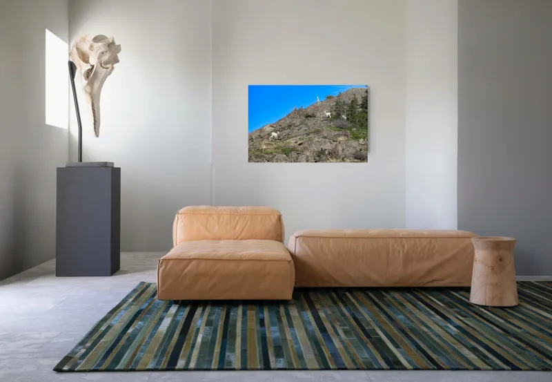 Tablou Canvas Capre pe Stâncile Muntelui - Natură și Libertate, 90 x 50 cm – poza 8