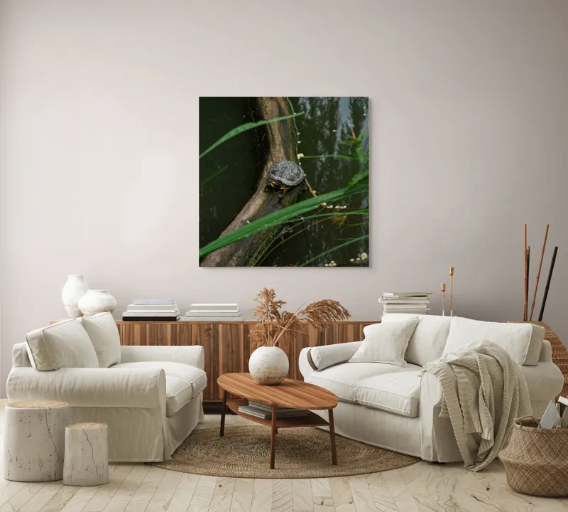 Tablou Canvas, "Broasca țestoasă pe trunchi de copac", Broască, Țestoasă, Lemn, Apă, Frunze, Reflexii, Natură, Verde, Relaxare, 100 x 100 cm – poza 3