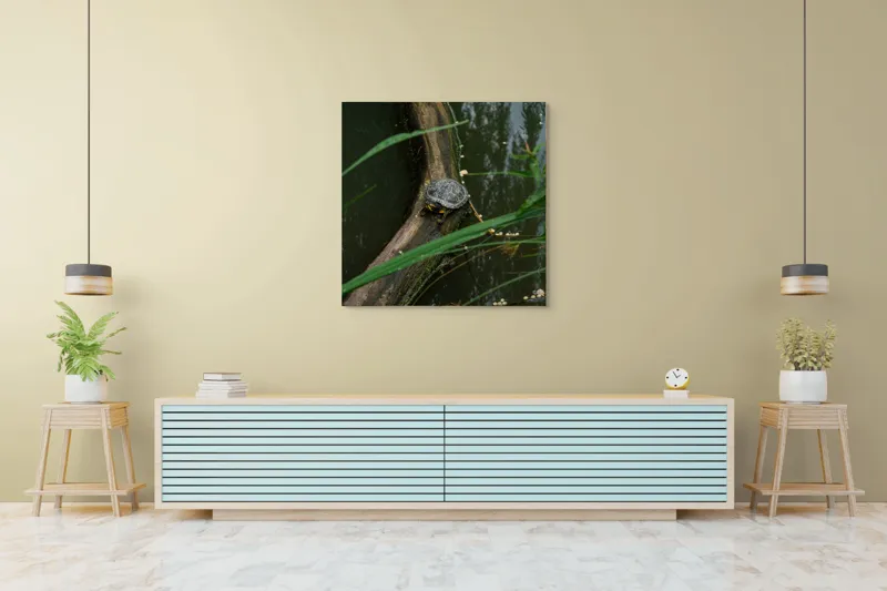 Tablou Canvas, "Broasca țestoasă pe trunchi de copac", Broască, Țestoasă, Lemn, Apă, Frunze, Reflexii, Natură, Verde, Relaxare, 100 x 100 cm – poza 5